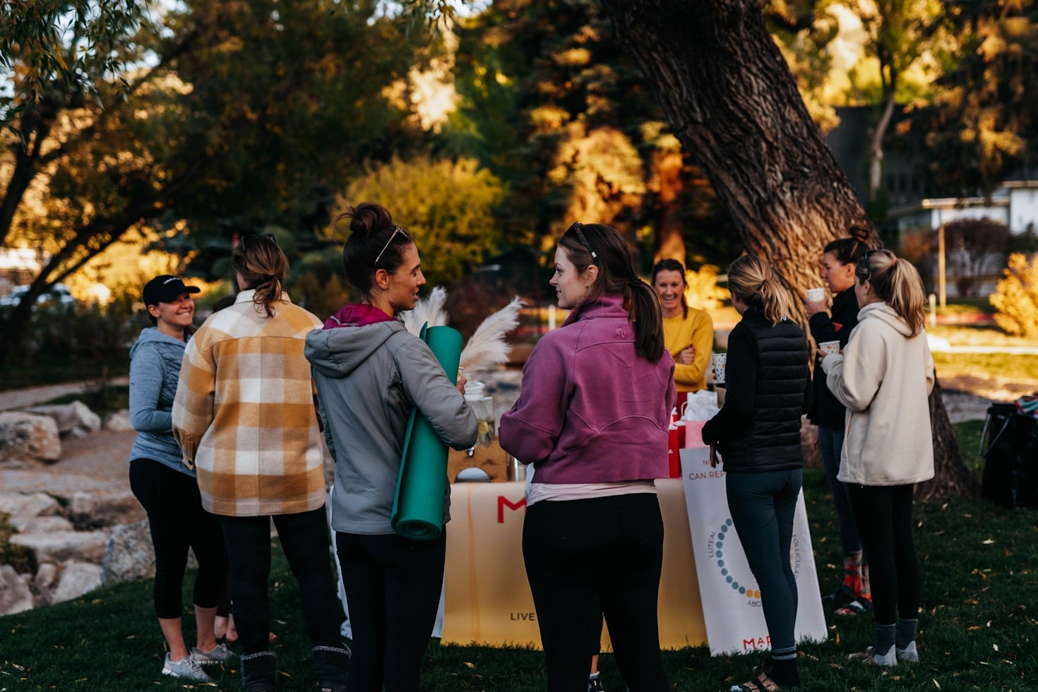 Transformative Coaching for Nonprofit Leaders